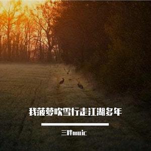 我菠萝吹雪行走江湖多年