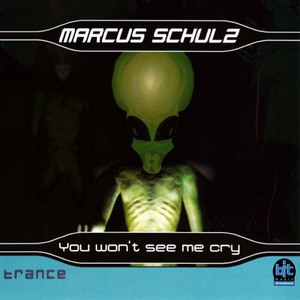 You Won't See Me Cry (Deepsky Remix)