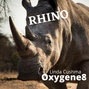Rhino
