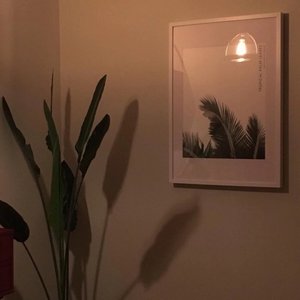 偷（温柔女声版）