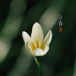 立春