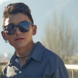 远飞的大雁  MIX