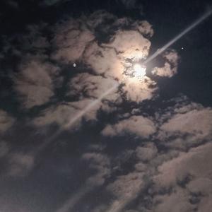 像你这样的朋友