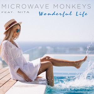 Wonderful Life (Extended Mix)