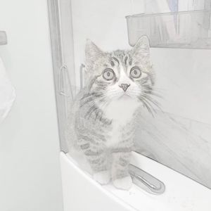 可是我想活着啊