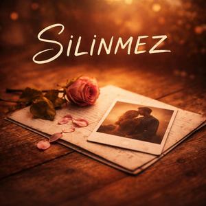SİLİNMEZ