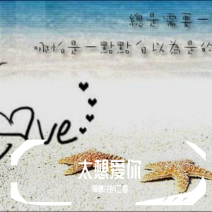太想爱你