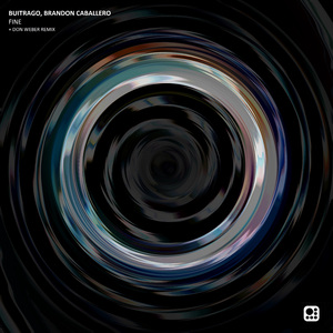 Fine (Don Weber Remix)
