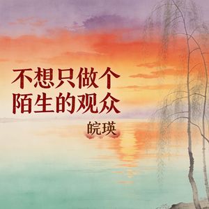 不想只做个陌生的观众(伴奏)