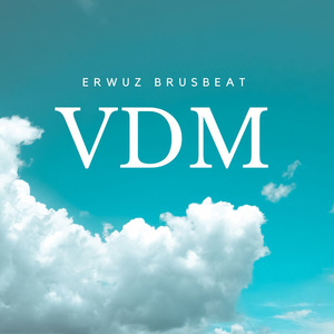 V.D.M