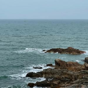 a whole new world cover