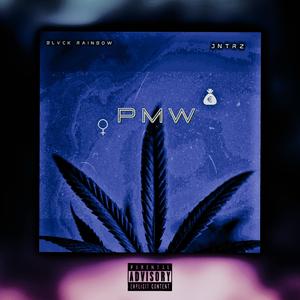 PMW (feat. JNTRZ)