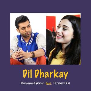 Dil Dharkay (feat. Elizabeth Rai)