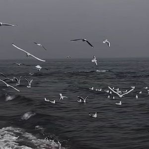 DJ燕洵-Once Upon a Time（DJ燕洵 remix）