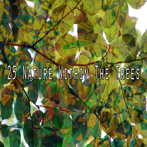 在人行道上跳繩