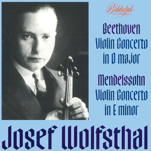 Violin Concerto in E Minor, Op. 64, MWV O 14 (Arr. for Violin & Piano): I. Allegro molto appassionato