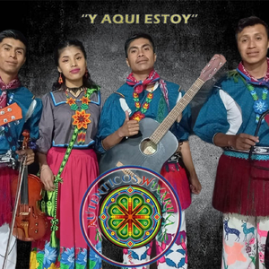 El Delfin Azul