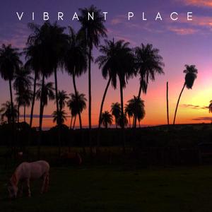 Vibrant Place