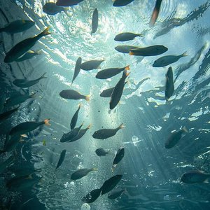 你随口一个晚安我熬成一个夜晚