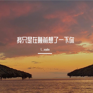 我只是在睡前想了一下你