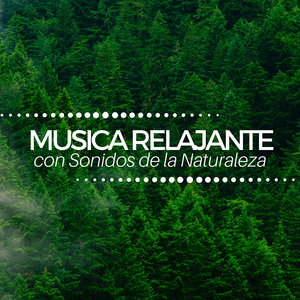 Autoestima y Conciencia