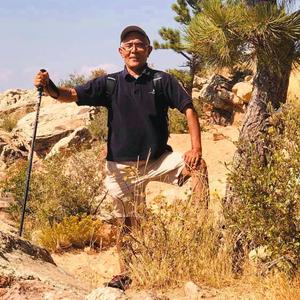 हिमालको छहराले