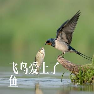 飞鸟爱上了鱼