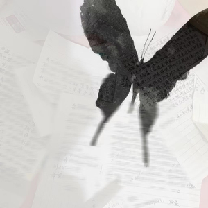 封存的日记（Prpde by MEGA)