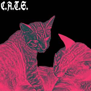 C.A.T.S. (feat. certo1k & Kanashi Boi)