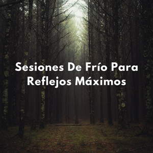 Buenas Noches, Descansa