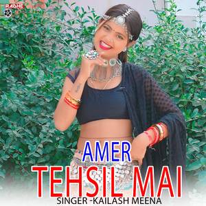 Amer Tehsil Mai