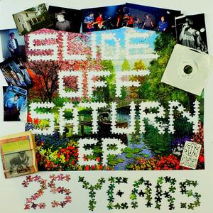 Alien Convention (They Have Landed Version)