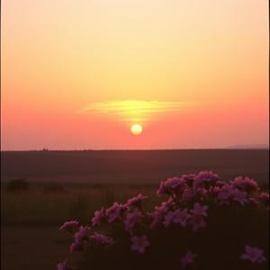 それではさよなら