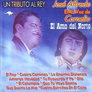 El Columpio