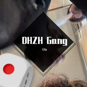 DHZH Gang