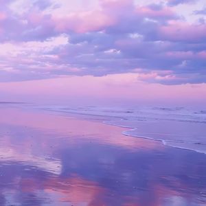 飞鸟与鱼（Prod.EVO MUSIC）