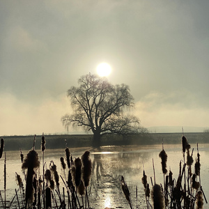 Meditation - Reinigung der Herzensverbindungen