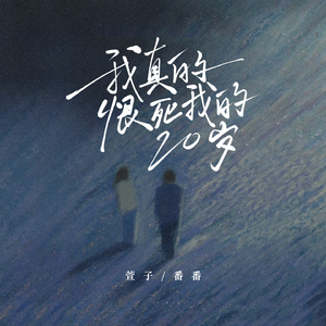 我真的恨死我的20岁