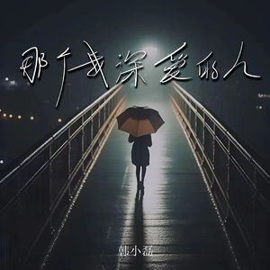 那个我深爱过的人