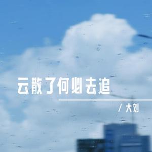 云散了何必去追