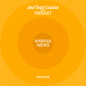 Did You Hear The News (Mo' Horizons Remix)