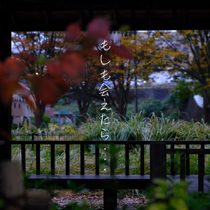 もしも会えたら…