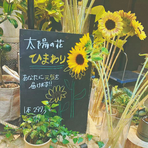 向前走，我的爱人