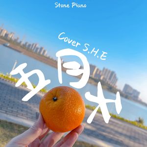 【钢琴】五月天 - SHE
