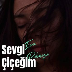 Vanlıyam Şanlıyam