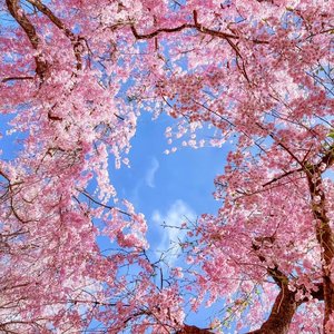 忧郁之殇  
孤独泪影