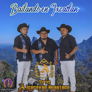 Popurrí Cumbias: (Perfecta, Bonita, Tonta, Serrana Mía, el Oso Polar & Sergio el Bailador) (En Vivo)