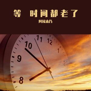等 时间都老了