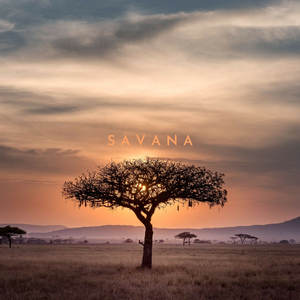 Savana