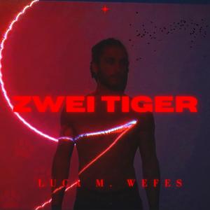 Zwei Tiger